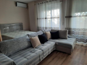 Spacious studio near the seaside